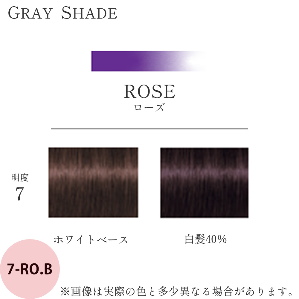 Schwarzkopf PROFESSIONAL（シュワルツコフ プロフェッショナル