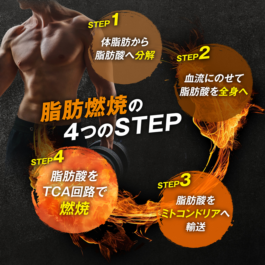 期間限定！ポイント10倍 8日23:59まで】運動中の脂肪燃焼を高める