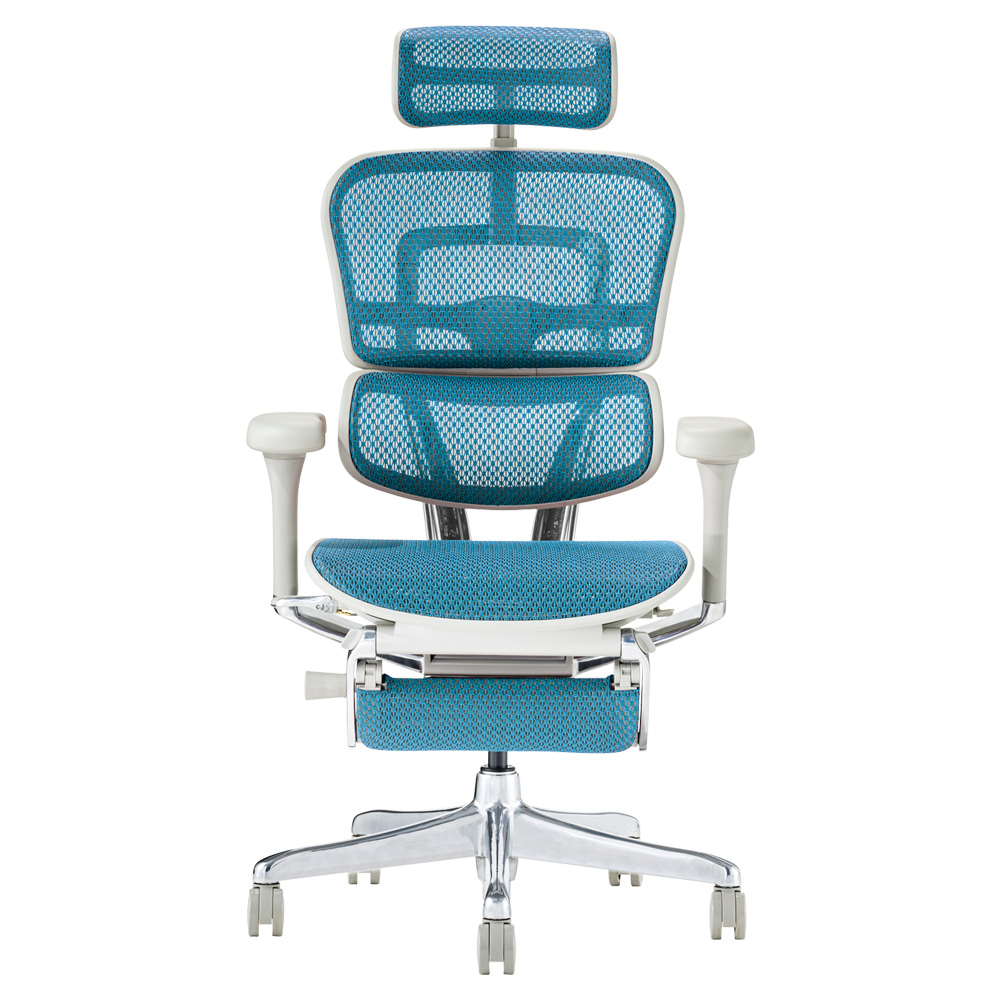 エルゴヒューマン（Ergohuman） メーカー組立済完成品 プロ2