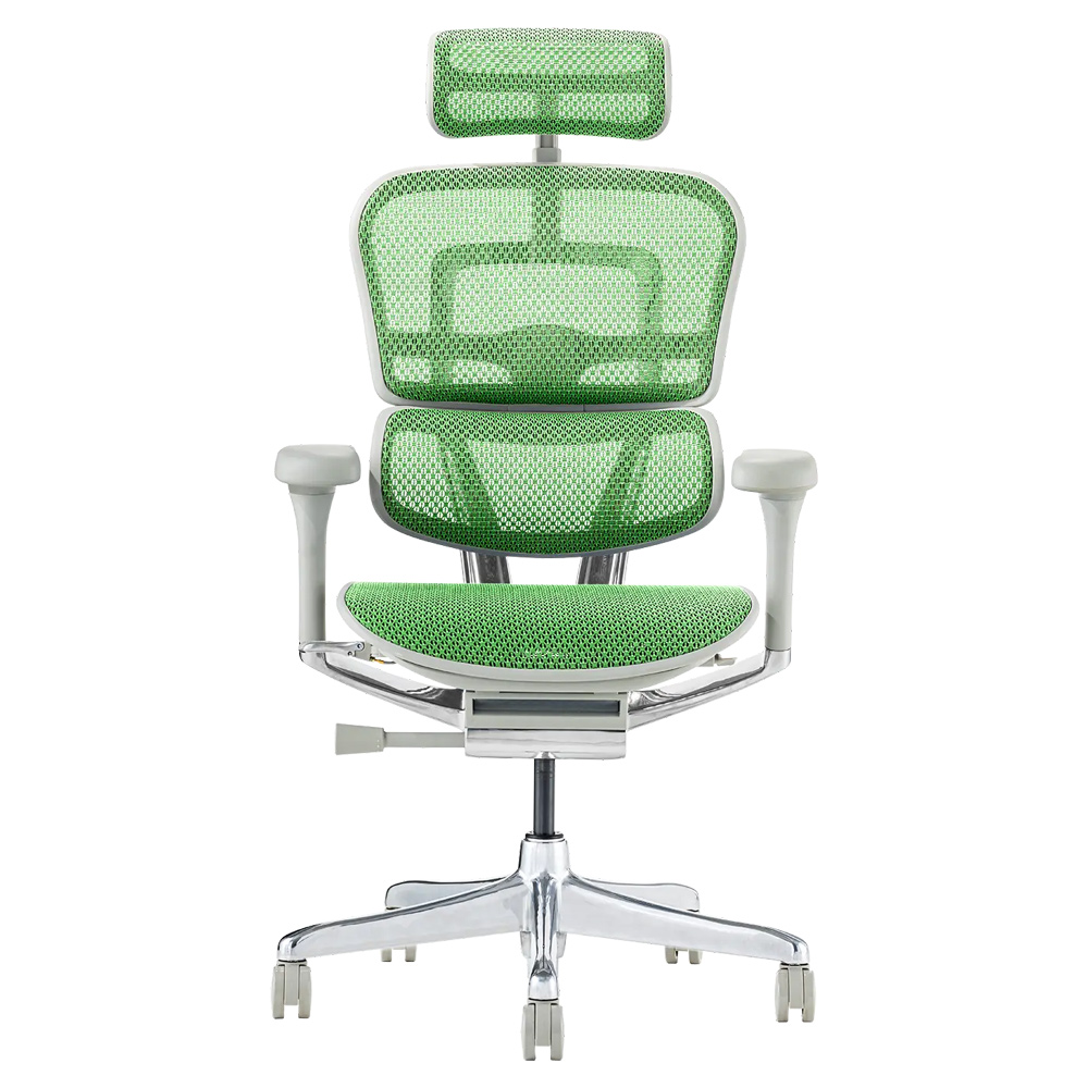 エルゴヒューマン（Ergohuman） プロ2 ヘッドレスト付 メーカー組立済