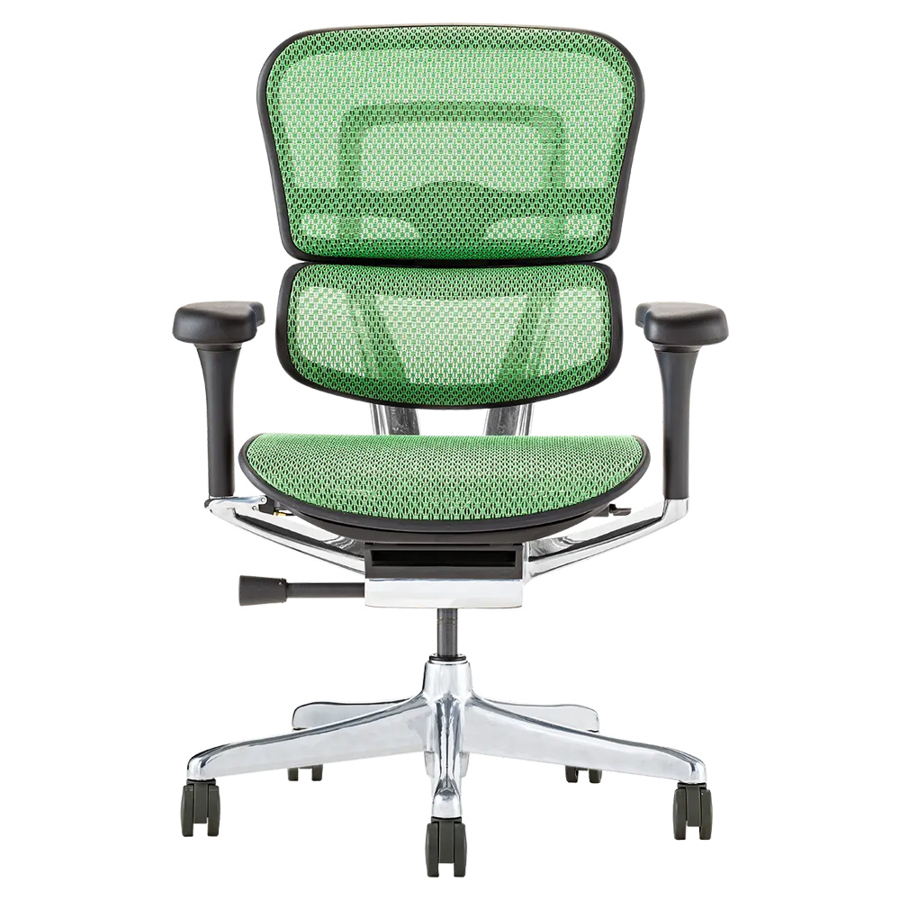 エルゴヒューマン（Ergohuman） プロ2 ヘッドレスト無し 梱包材を無料