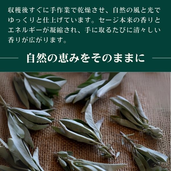 1本 スリムタイプ よく香るホワイトセージ バンドル ワンド