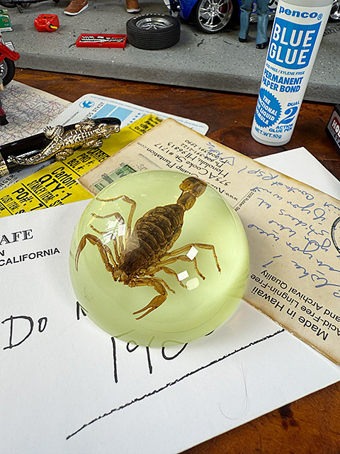 サソリ 標本のおすすめ人気商品一覧 通販 - Yahoo!ショッピング