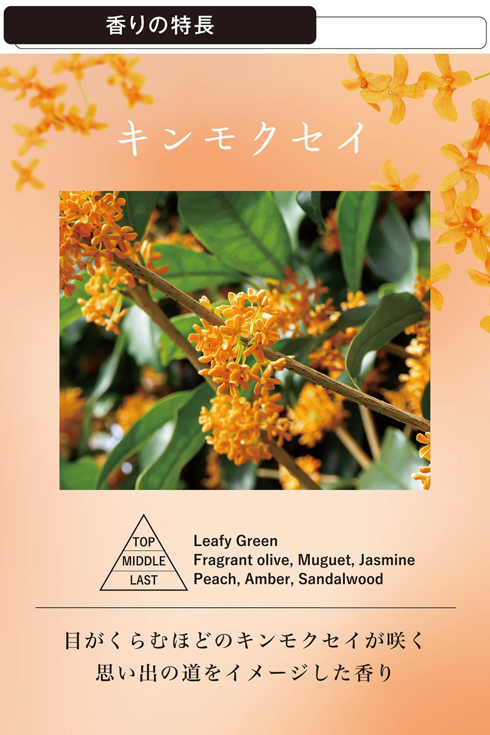 カーメイト（CARMATE） 車 芳香剤 金木犀 G897 ルーノ ゲル