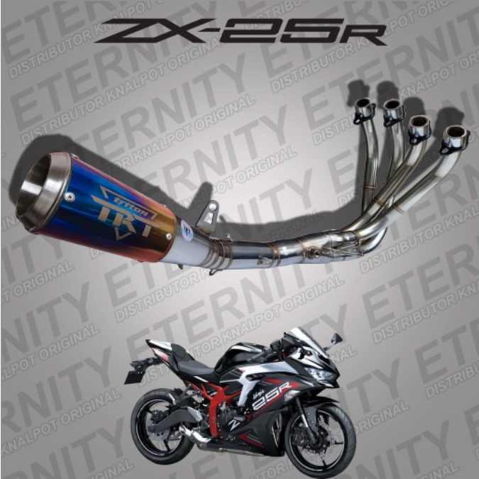 Triton Exhaust Type GT-5 フルエキゾーストマフラー KAWASAKI NINJA