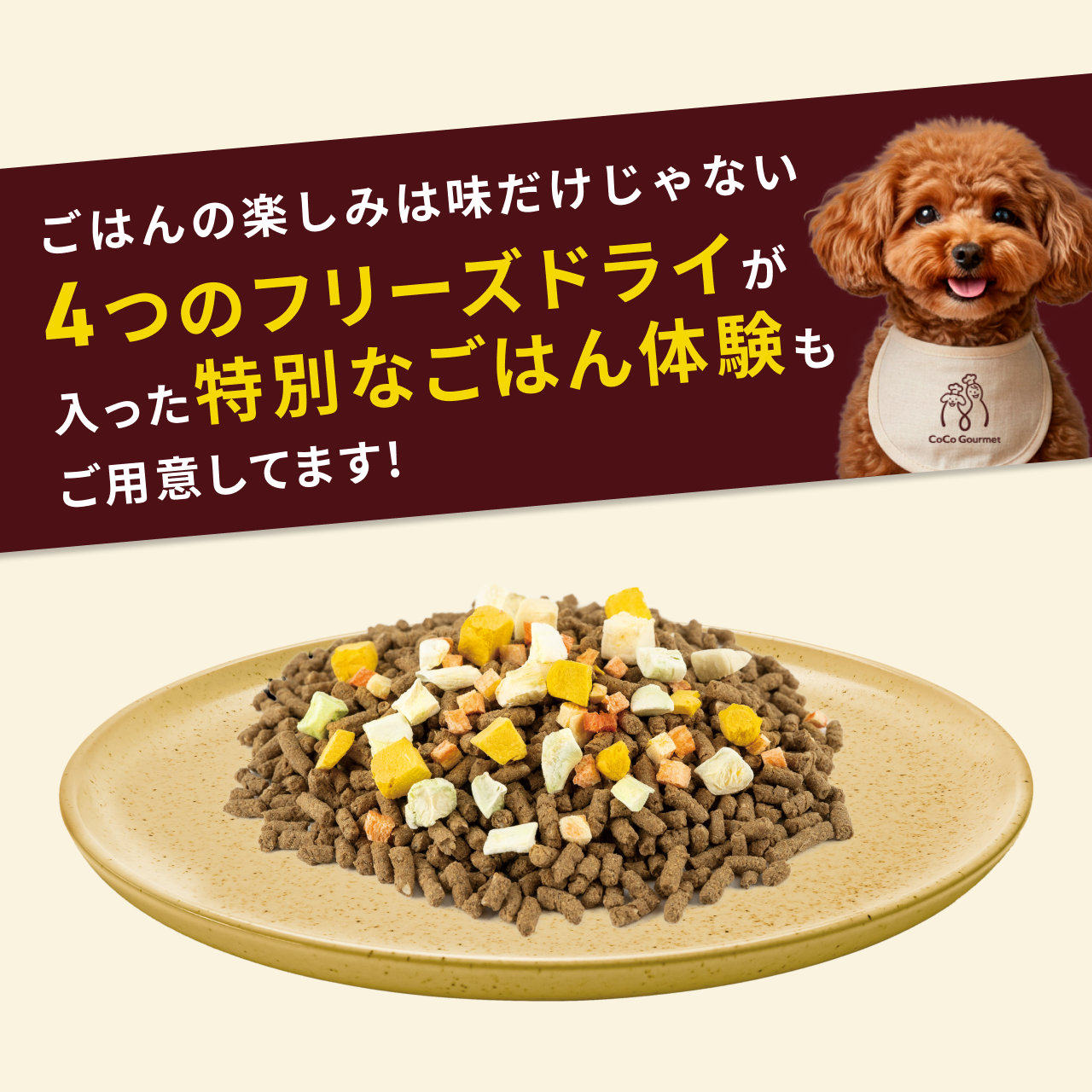 CoCo Gourmet（ココグルメ） ココグルメ・ドライ(850g×4個) 獣医師監修