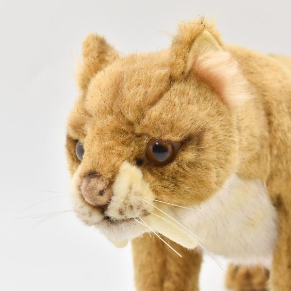 HANSA BH5564 サーベルタイガー さーべるたいがー 絶滅 ぜつめつ