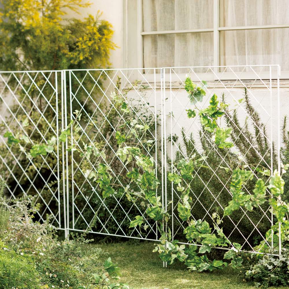 dinos（ディノス） 境界線に！ガーデンフェンス 3枚セット G86818 爆買