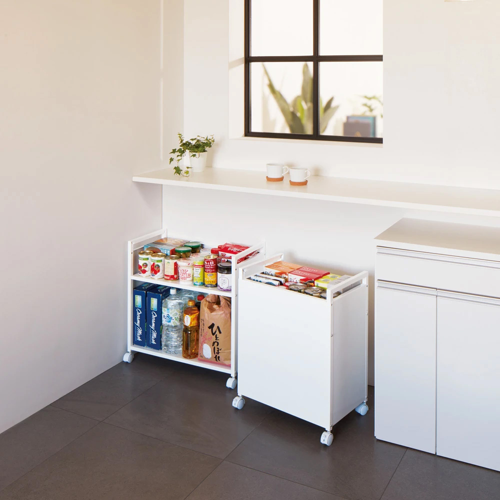 dinos（ディノス） ≪幅50cm≫ 総耐荷重約50kg 全部隠せる頑丈ワゴン