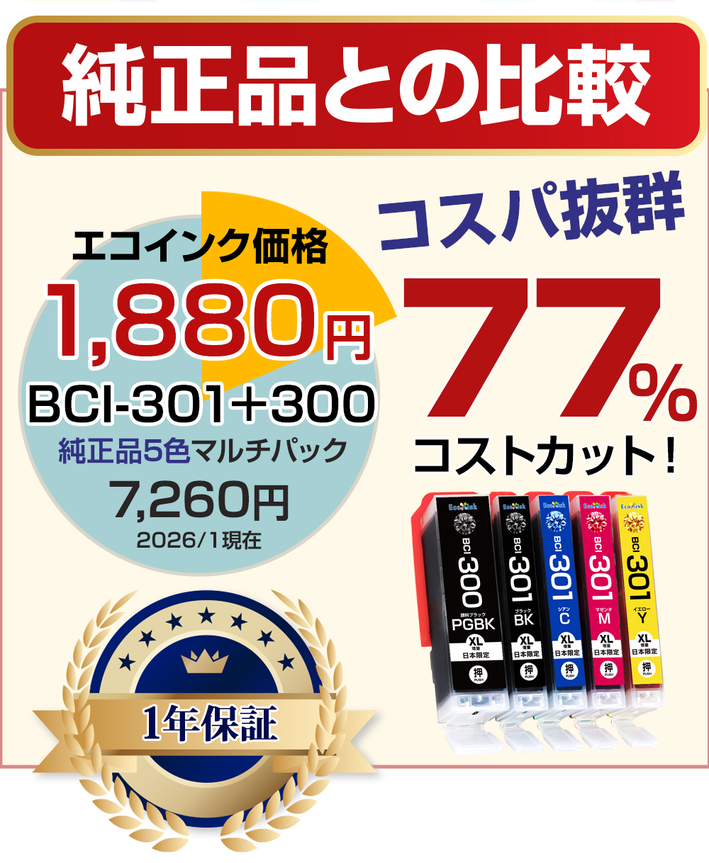 エコインク BCI-301+300 5MP 大容量 5色セット キャノン Canon 互換