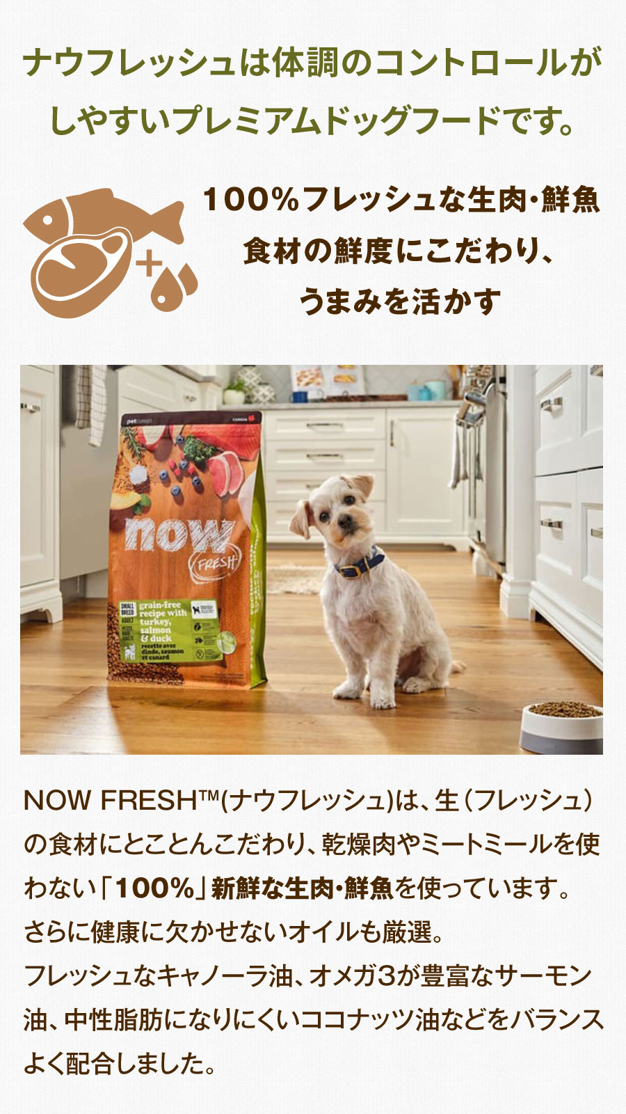 NOW FRESH (選べるプレゼント付き)ナウ フレッシュ グレインフリー