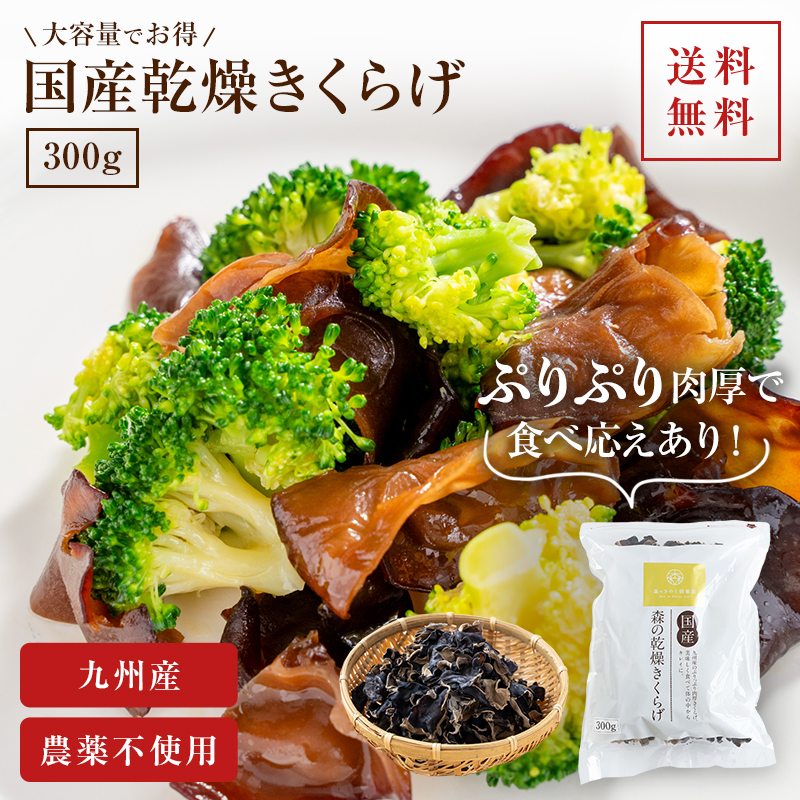 森のきのこ倶楽部 きくらげ 国産 乾燥きくらげ 食物繊維 キクラゲ 100g