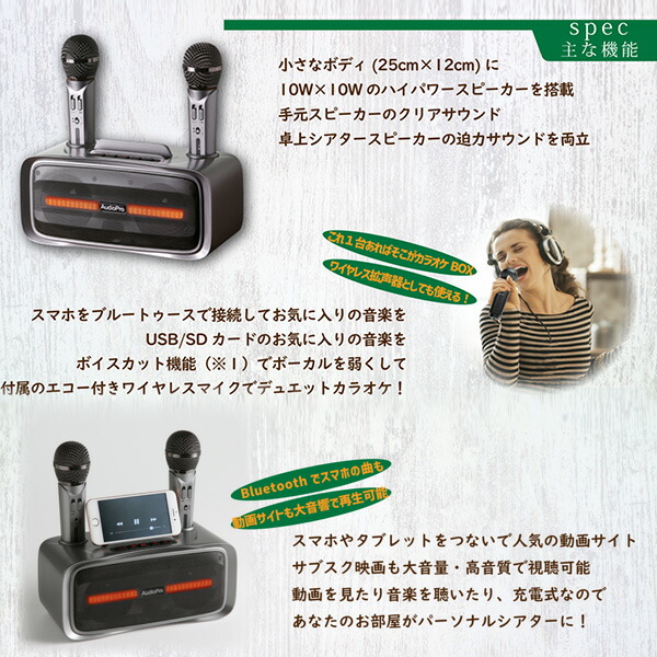 とうしょう 手元スピーカー カラオケマイクセット マイク2本付き