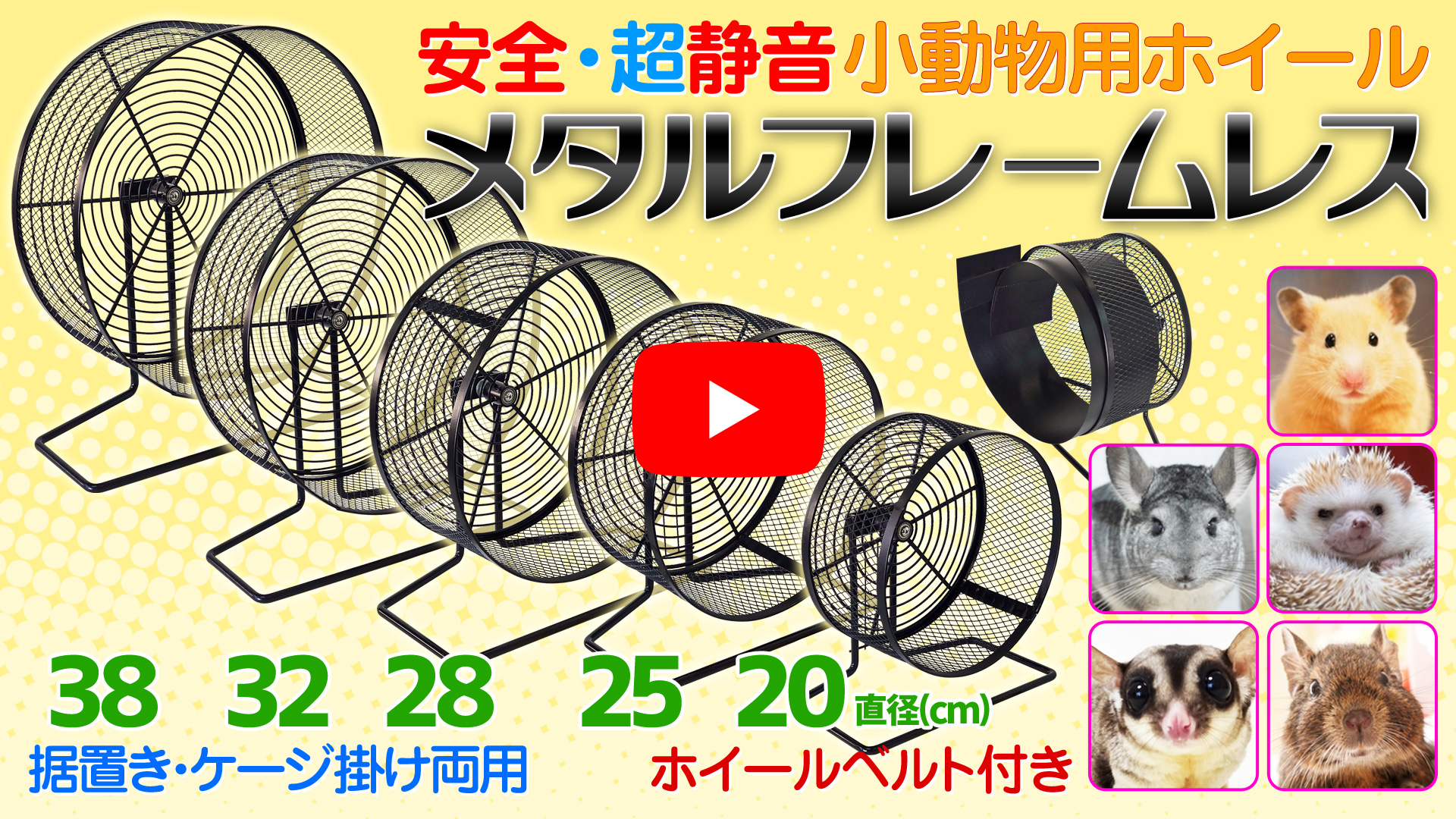 小動物用ホイール 【 メタルフレームレス 20 】 20cm 回し車 フレーム