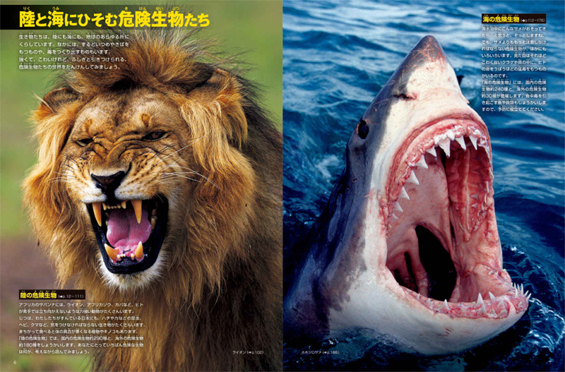 小学館 図鑑NEO DVDつきセット （既16巻） '21年度 : 脳トレ生活