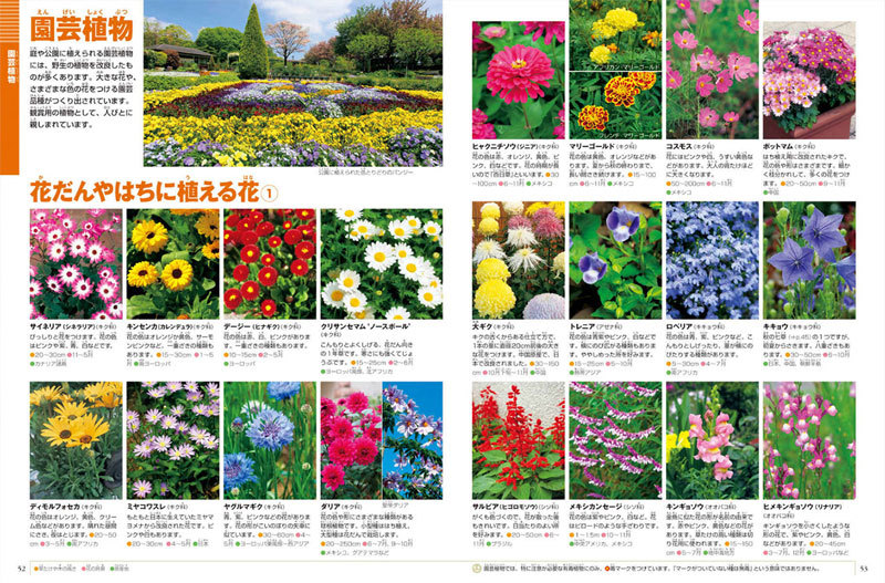 小学館 図鑑NEO DVDつきセット （既16巻） '21年度 : 脳トレ生活