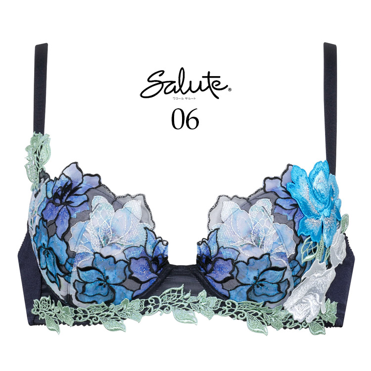 サルート（SALUTE） ワコール 06G ブラジャー P-up プッシュアップ