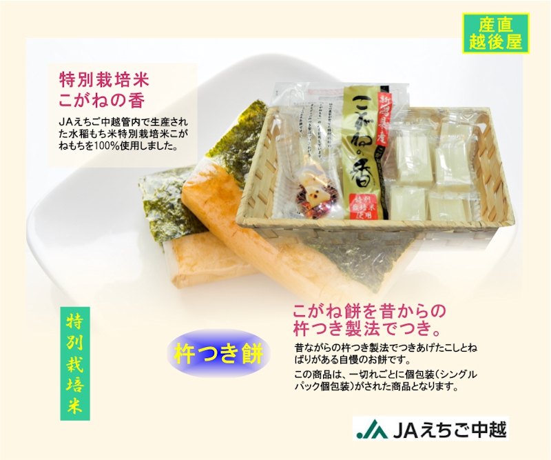 こがねもち 新潟県 JAえちご中越農協産 杵つきこがね餅 360g(8枚入