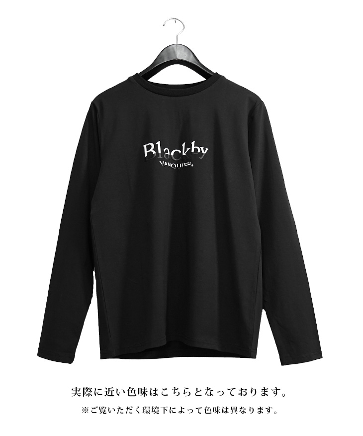 BLACK by VANQUISH（ブラックバイバンキッシュ） クルーネック Tシャツ