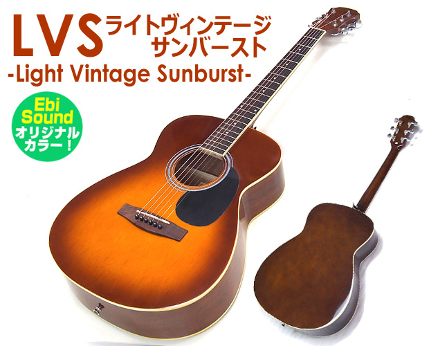 ARIA（アリア） アコースティックギター 初心者 セット 13点 Legend