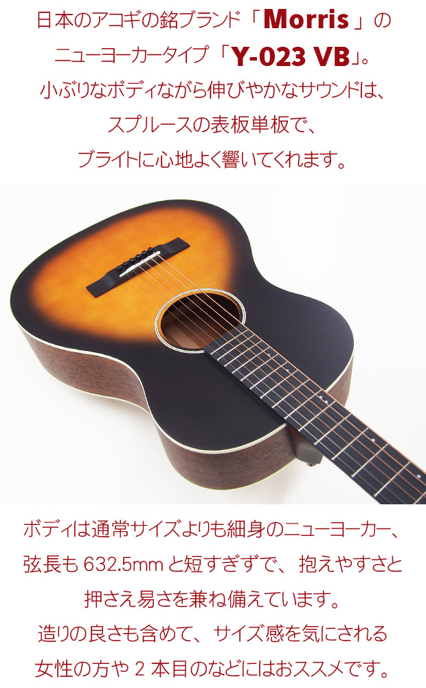Morris モーリス アコースティックギター Morris Y-023 VB