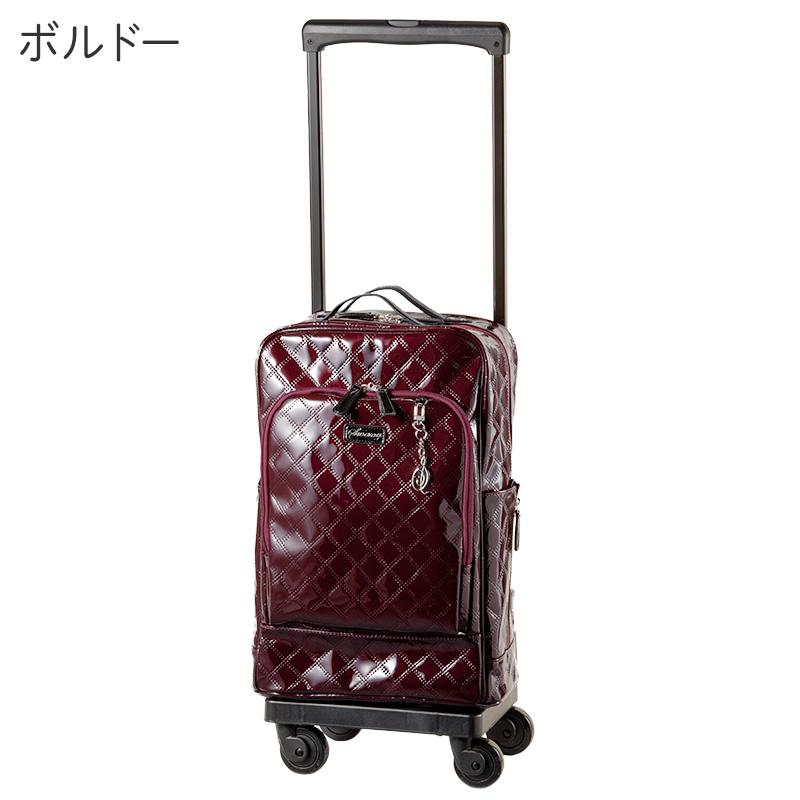 SWANY（スワニー） キャリーバッグ エマイロV エマイロ5 L21 4輪
