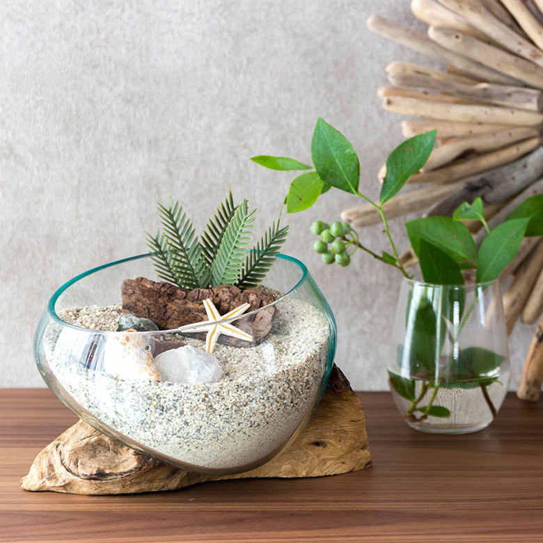 ELEMENTS ガラス鉢 流木 プランターオブジェ ガラスボウル オブジェ