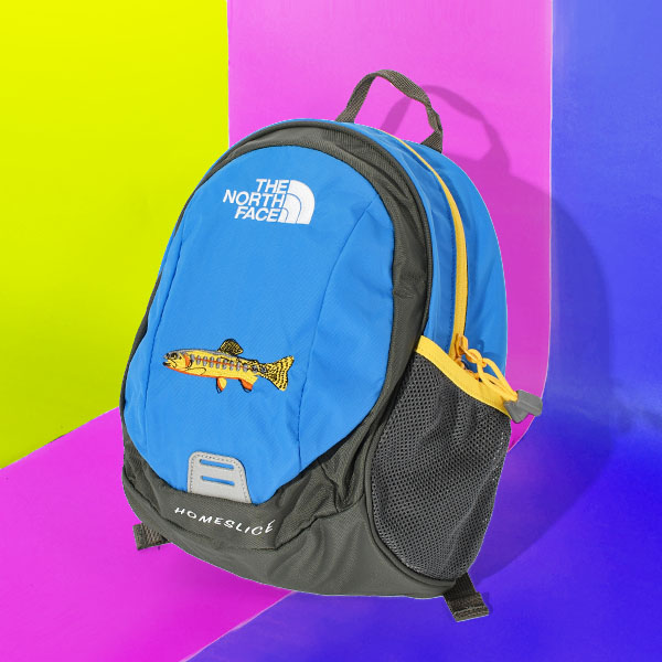 THE NORTH FACE（ザ ノースフェイス） 2026春夏新色 ノースフェイス