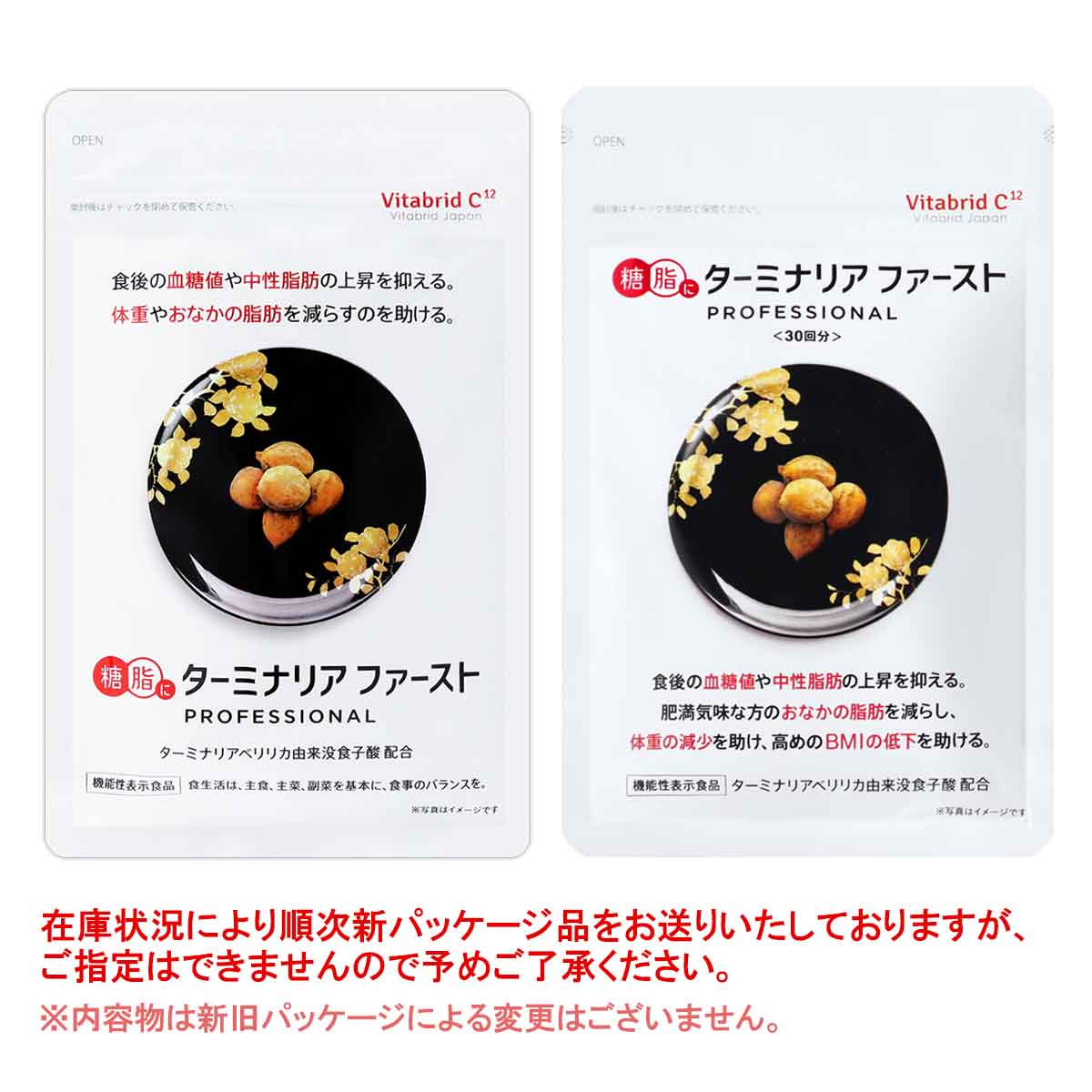 ターミナリアファースト プロフェッショナル4 [ リニューアル最新版