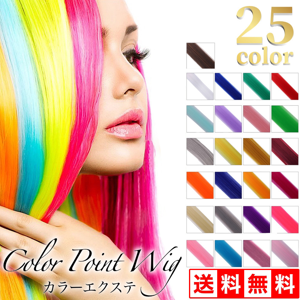 ウィッグ カラーエクステ エクステ ポイントウィッグ つけ毛