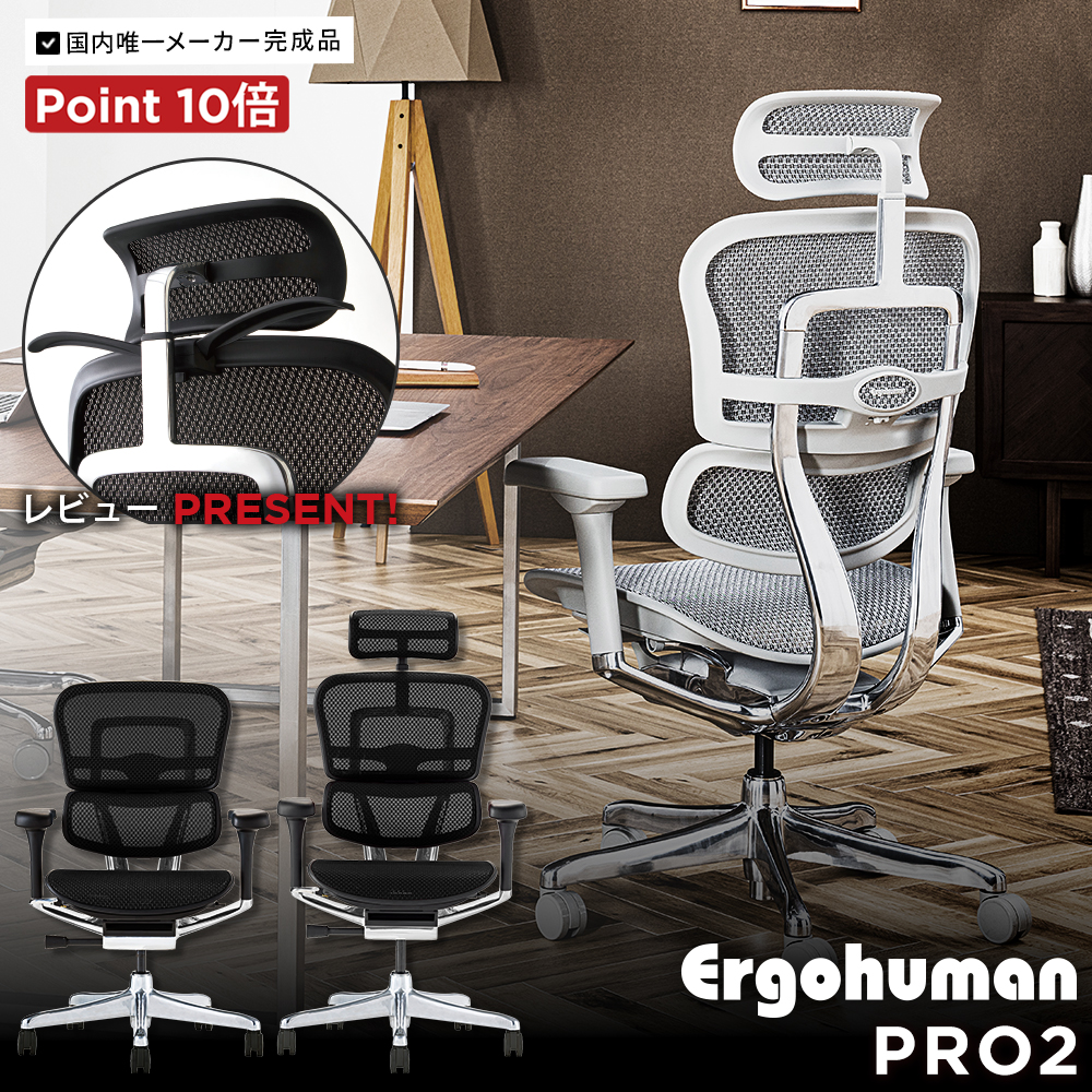 エルゴヒューマン（Ergohuman） ( 新基盤 ) プロ2 ハイタイプ