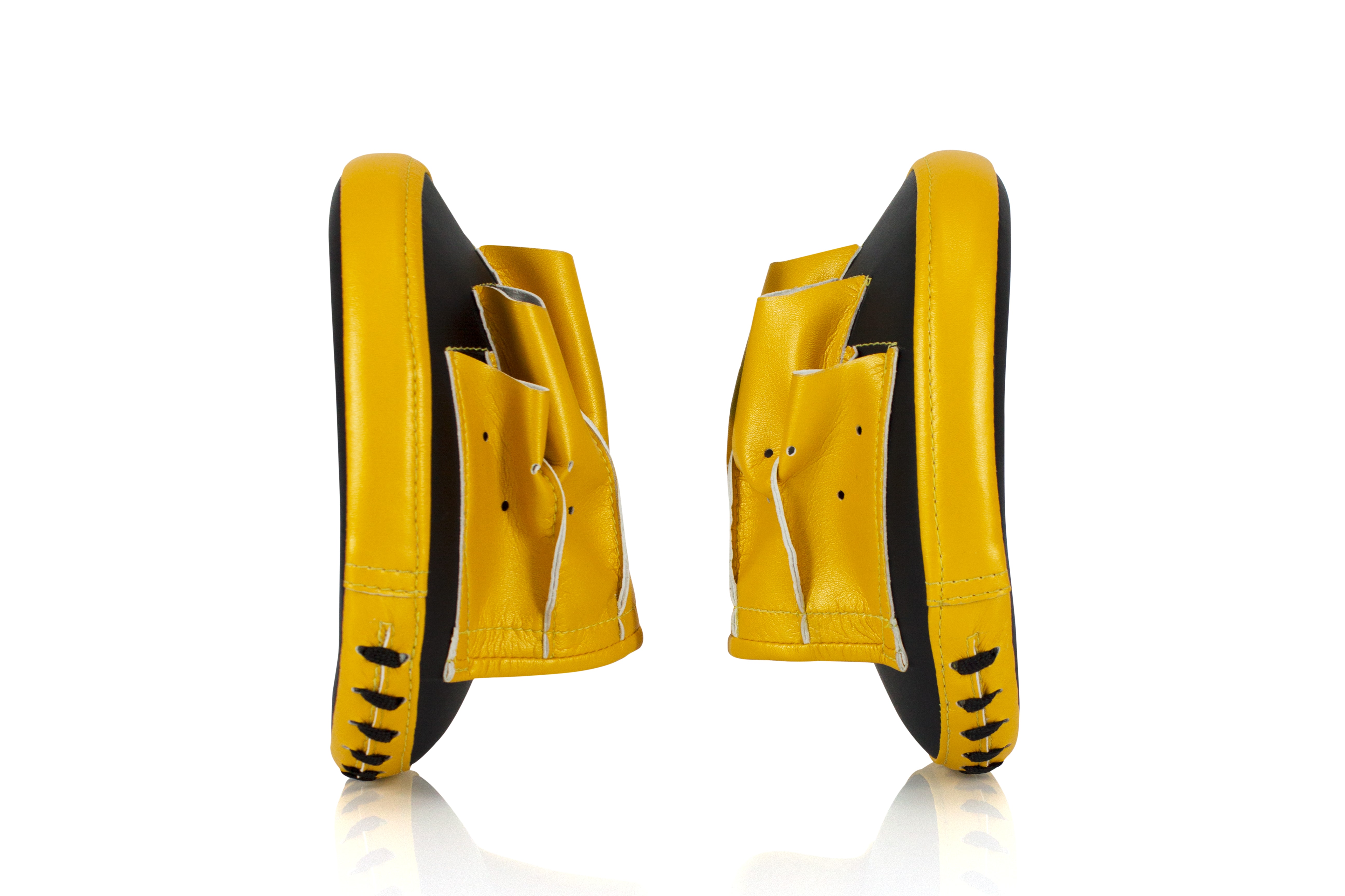 フェアテックス Fairtex フォーカスミット FMV15 パンチミット 軽量