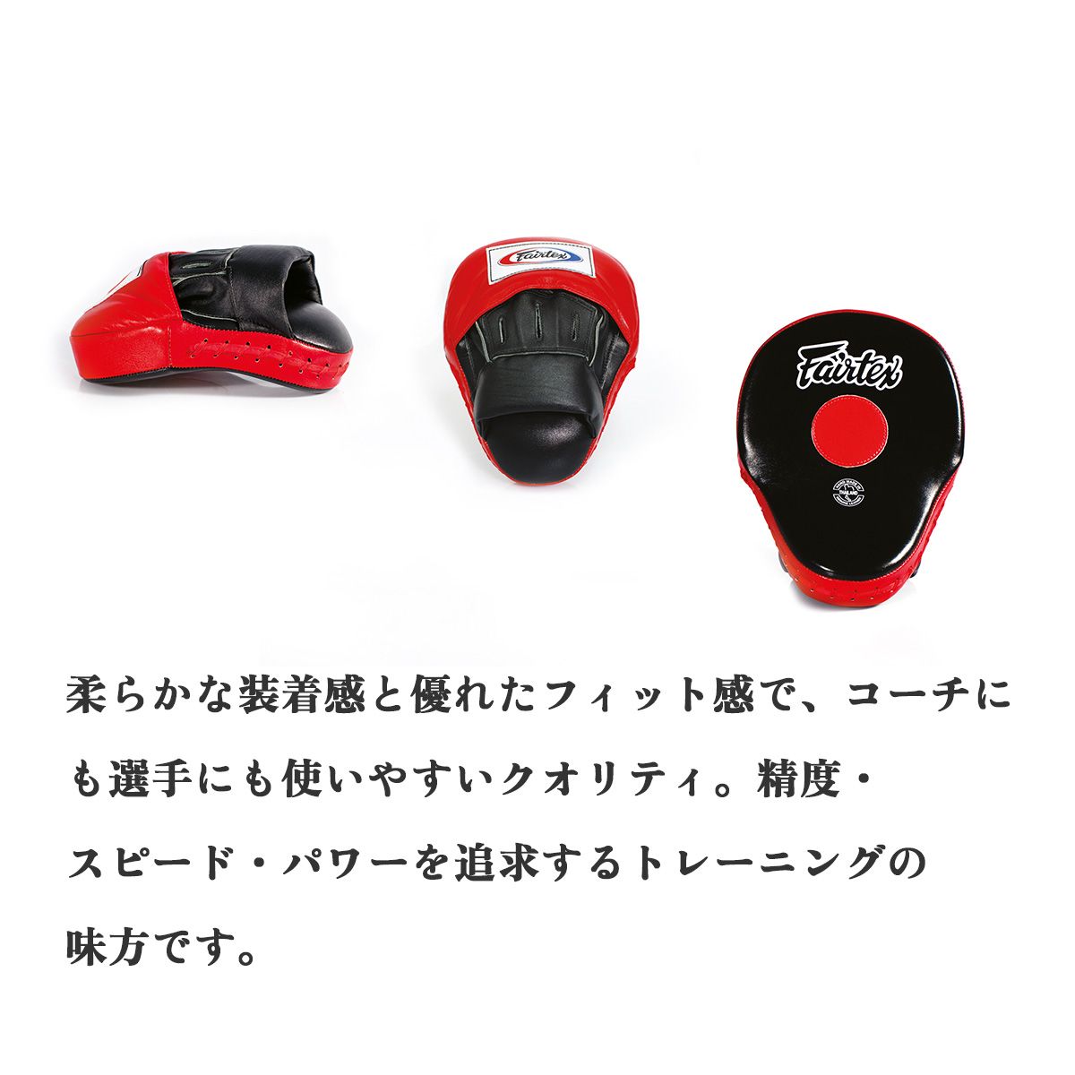 フェアテックス Fairtex 本革 フォーカスミット FMV9 大きい パンチ