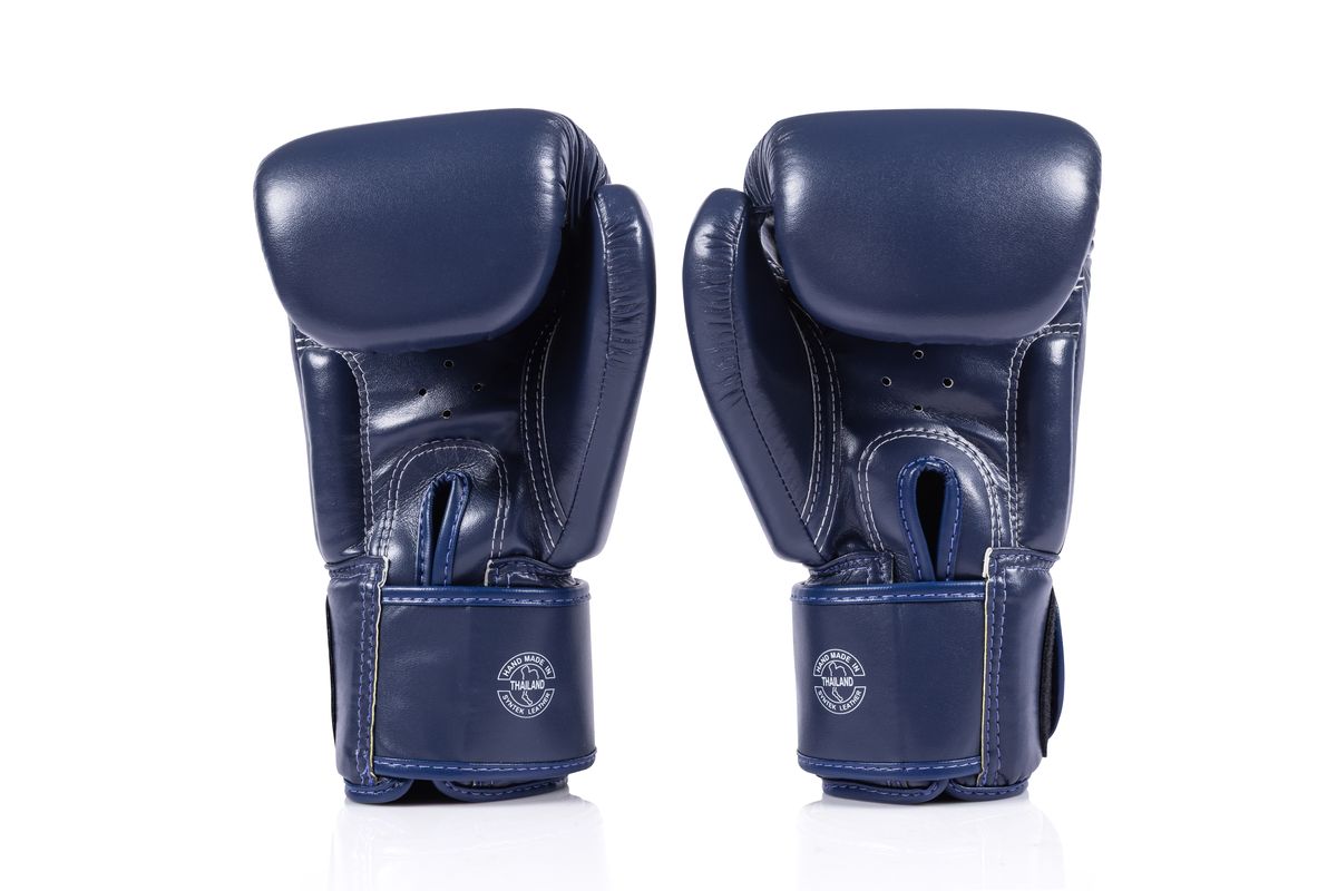 Fairtex フェアテックス ボクシンググローブ BGV1C-PLUS ムエタイ