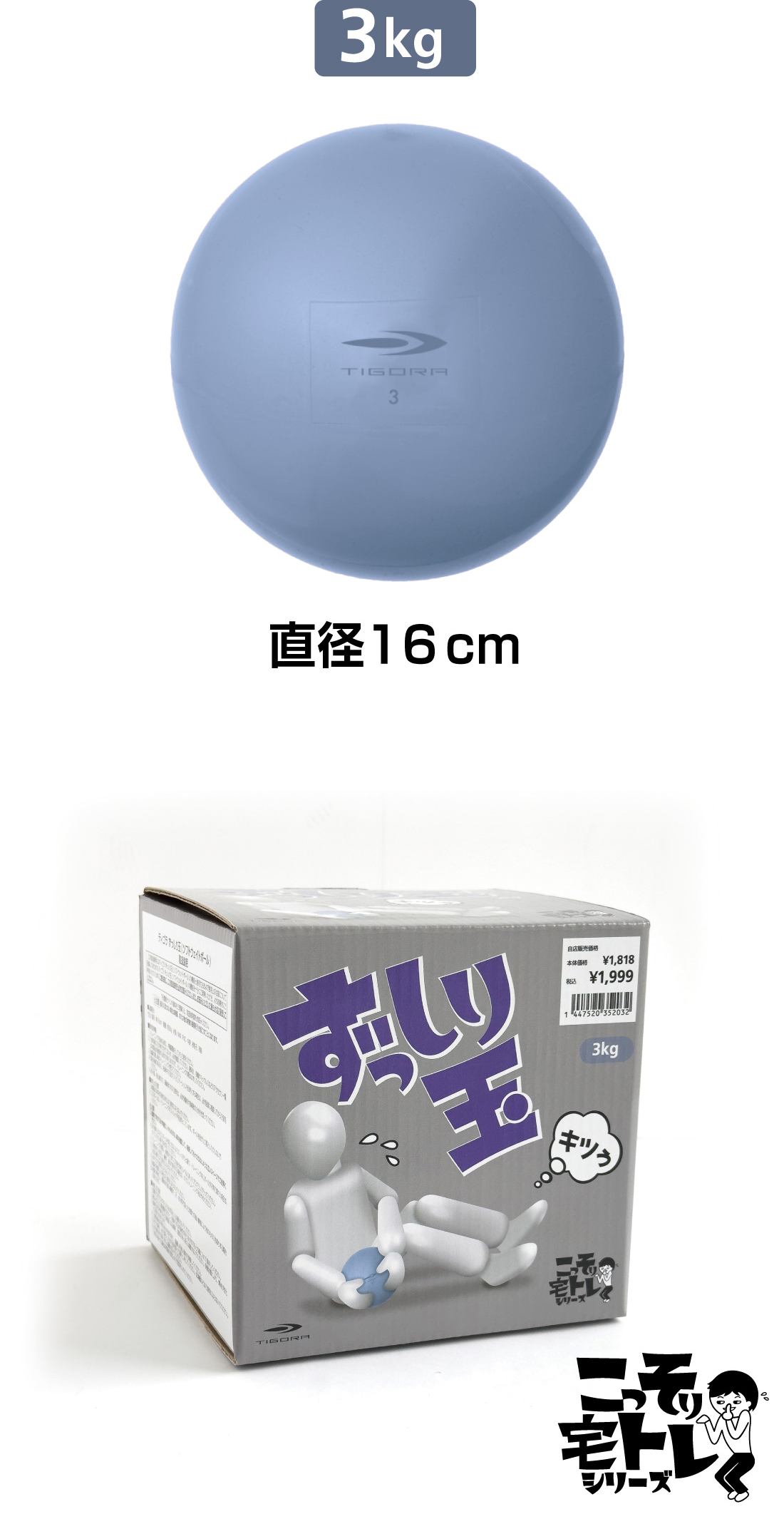 TIGORA（ティゴラ） 砂鉄 表面PVCソフトウェイトボール3KG TR