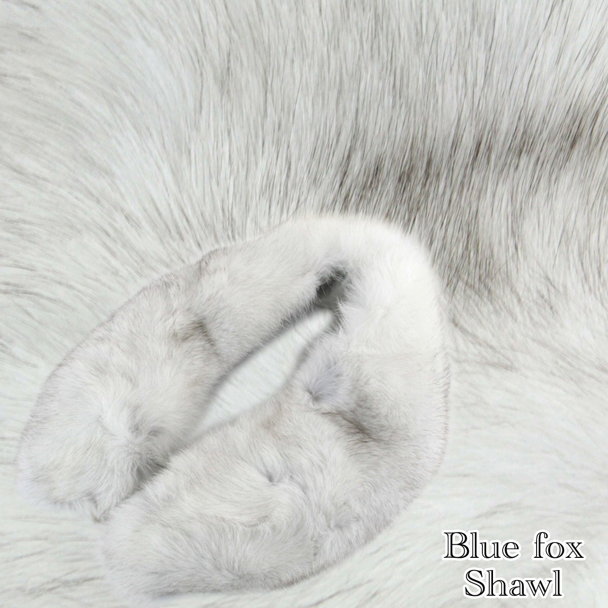 saga fox ブルーフォックスショール -17- フォックスファーストール