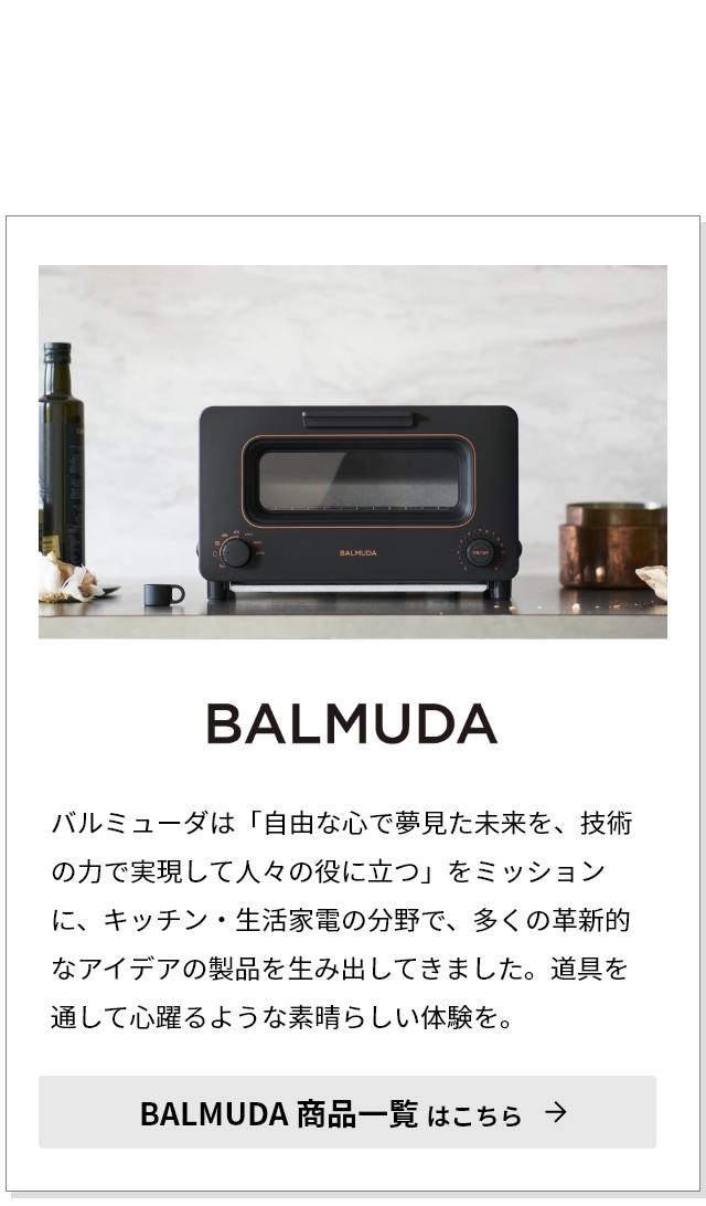 BALMUDA（バルミューダ） 専用プレート ザ プレートプロ専用 グリドル