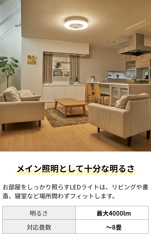 DOSHISHA（ドウシシャ） サーキュライト 選べる豪華特典 シーリング