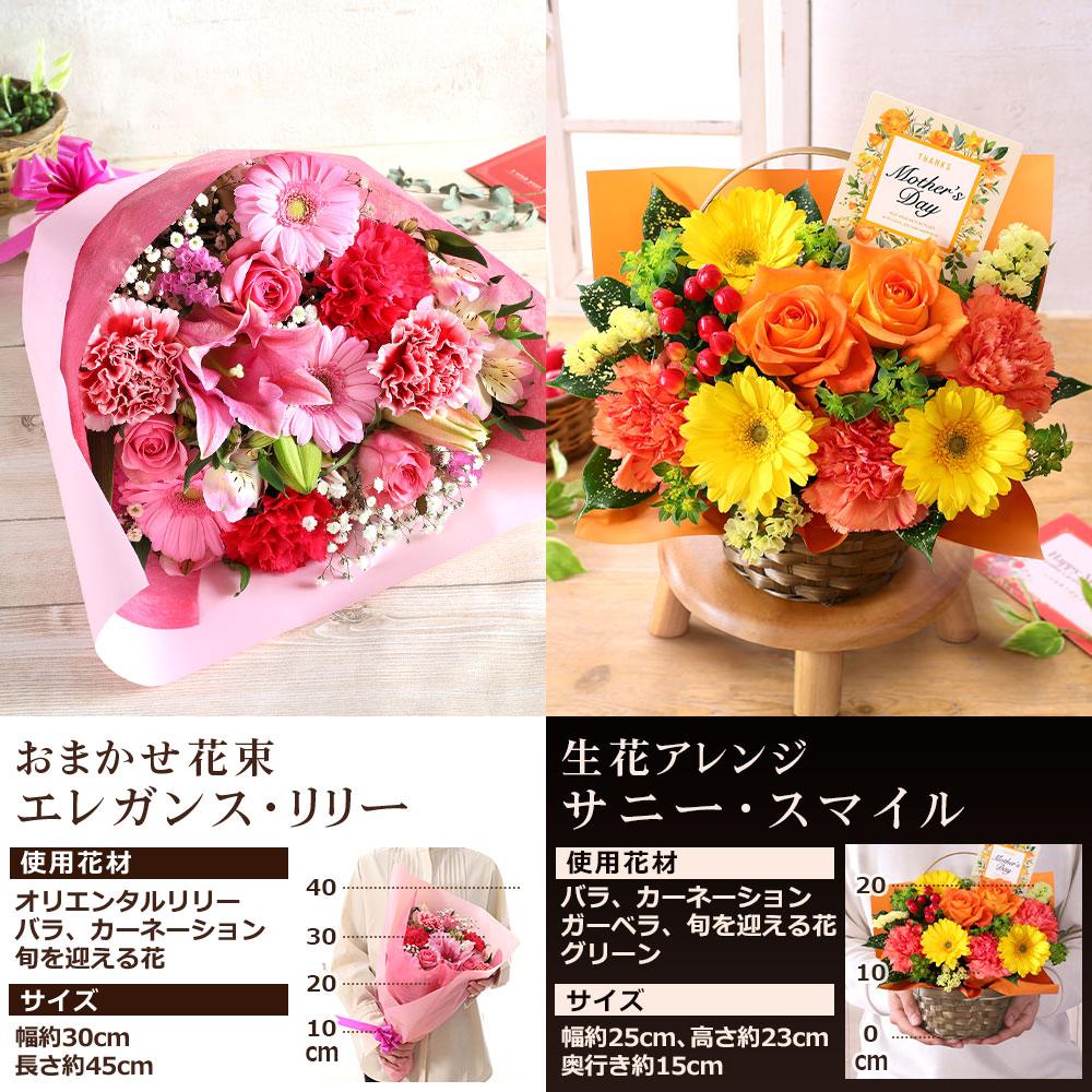 早割実施中！ 母の日 2026 プレゼント 花 ギフト 鉢植え アジサイ