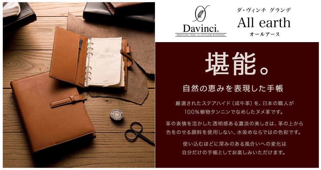 ダ・ヴィンチ 【送料無料(本州のみ)】レイメイ藤井 DSA4051C システム