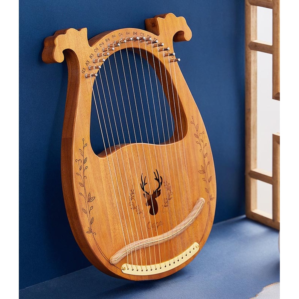 BACKYARD FAMILY（バックヤードファミリー） ライアー ハープ 楽器 16