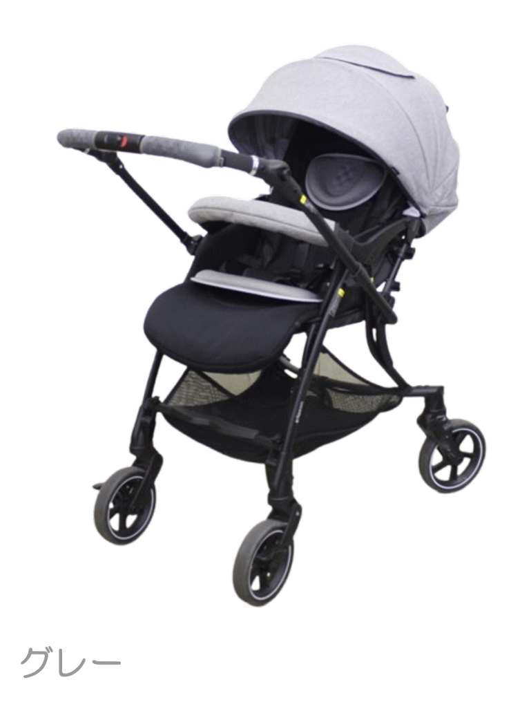 1ヵ月レンタル ランフィ リノン5 / Runfee Lino'n RB1L ピジョン製