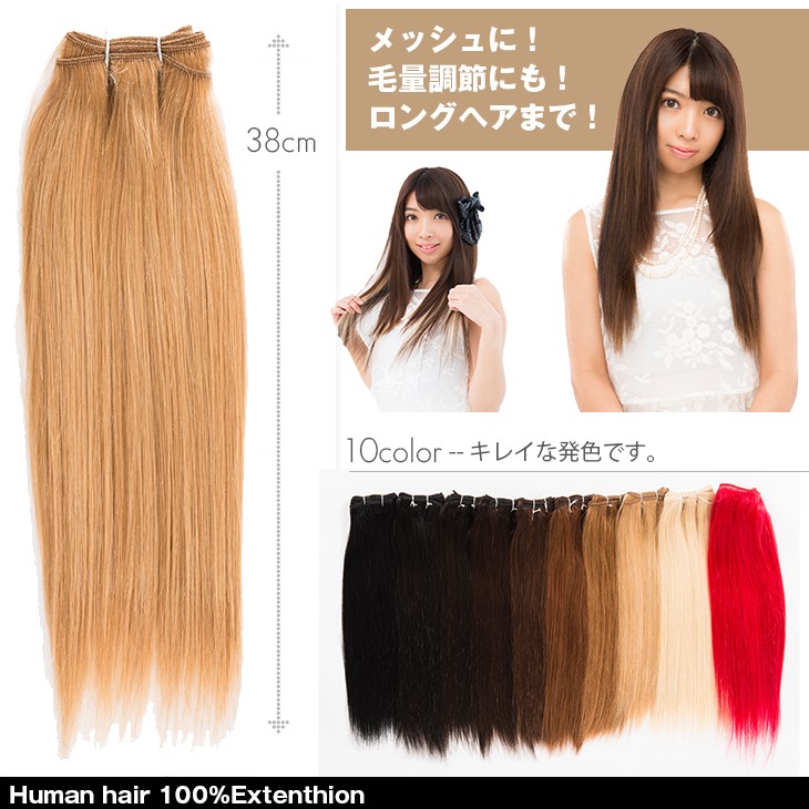人毛100% 毛束エクステンションssr050 50cm 40g : ウィッグ・エクステ