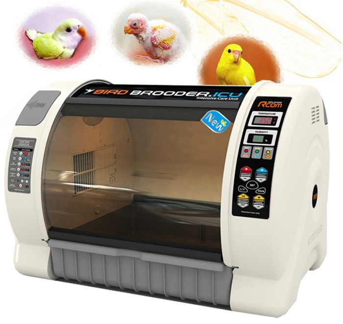 育雛器 温湿度管理飼育ケース バードブルダー 育雛・病鳥用 : eバード