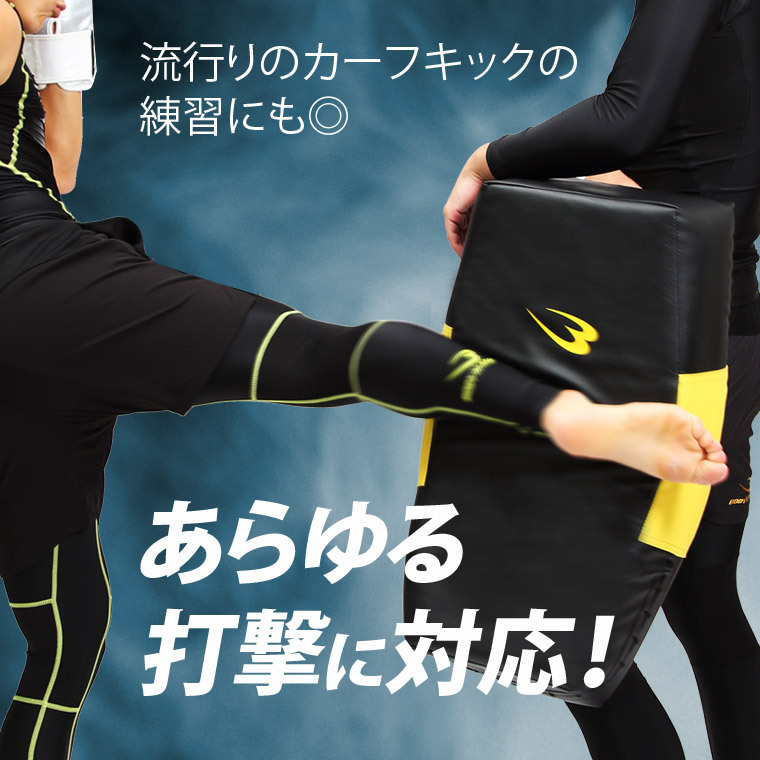 BODYMAKER（ボディメーカー） ビッグミットフェザーシールド ジム