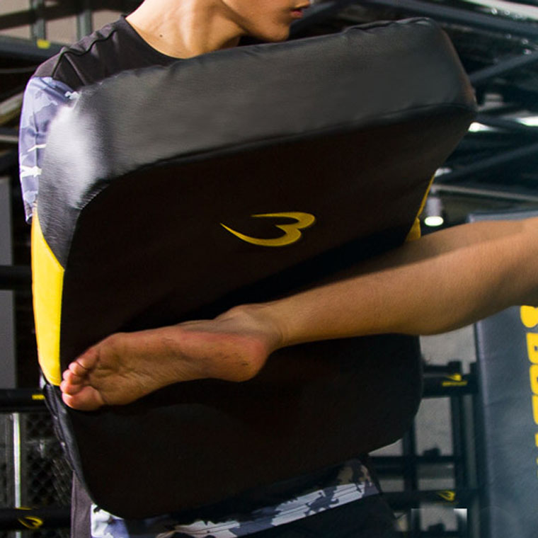 BODYMAKER（ボディメーカー） ビッグミットDX BODYMAKER キックミット