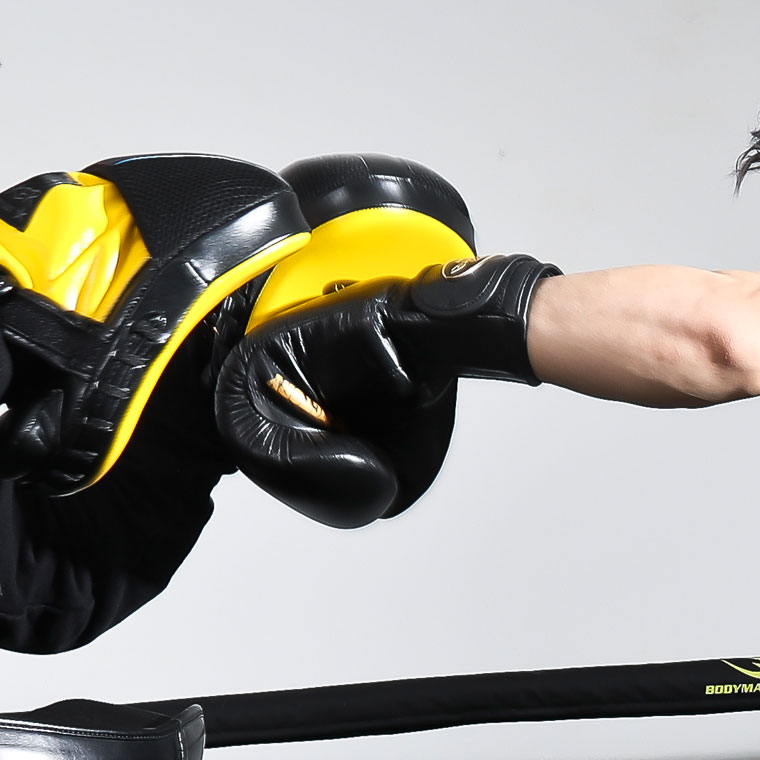 BODYMAKER（ボディメーカー） パンチングミット カーブPRO BODYMAKER