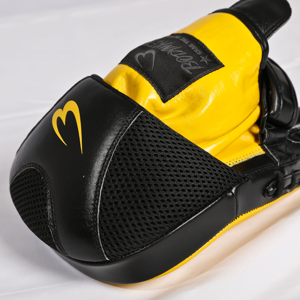 BODYMAKER（ボディメーカー） パンチングミット カーブPRO BODYMAKER