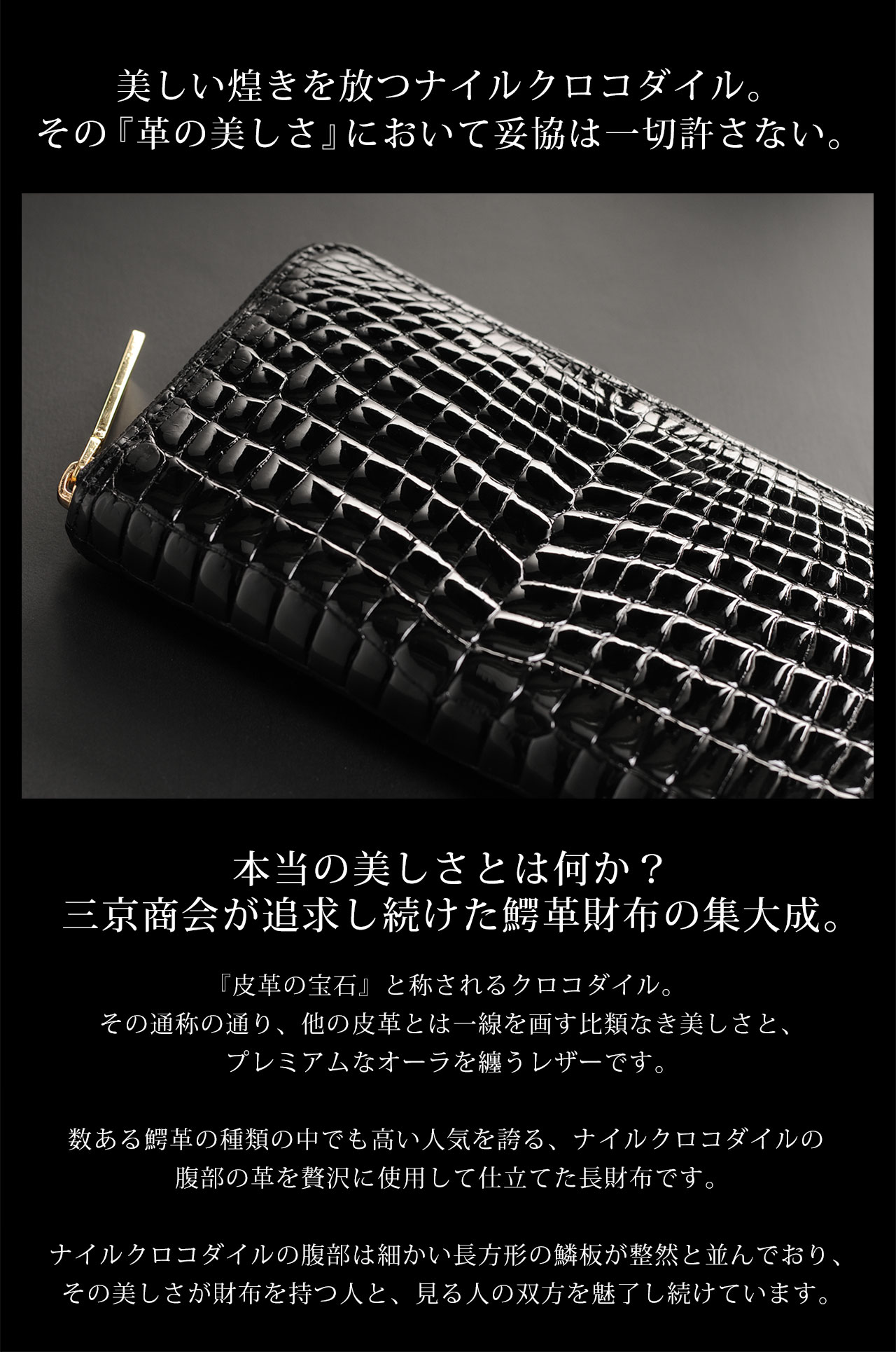 sankyo shokai（三京商会） [10%offクーポン]クロコダイル メンズ 長