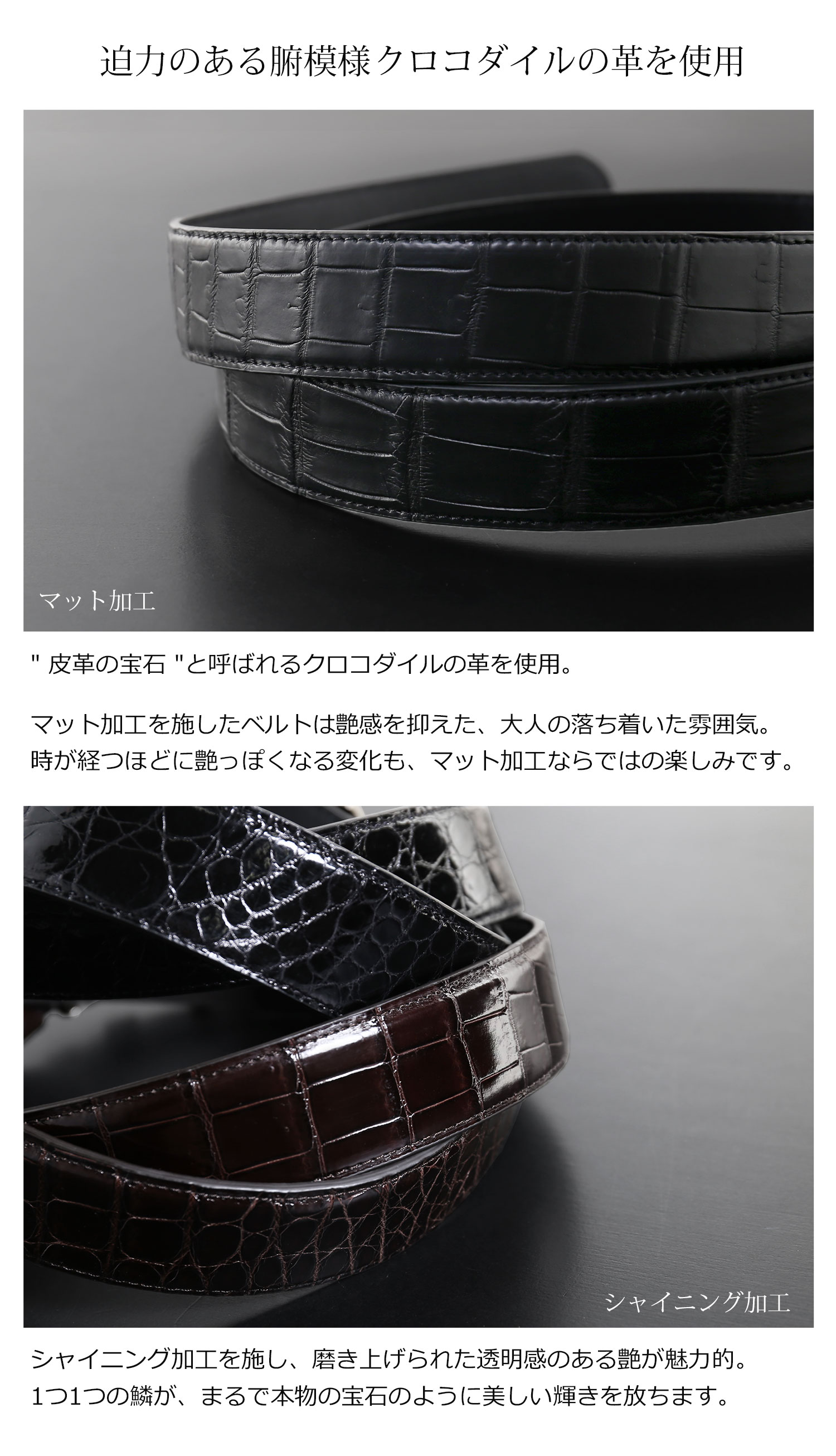 sankyo shokai（三京商会） [5%offクーポン]メンズ ベルト